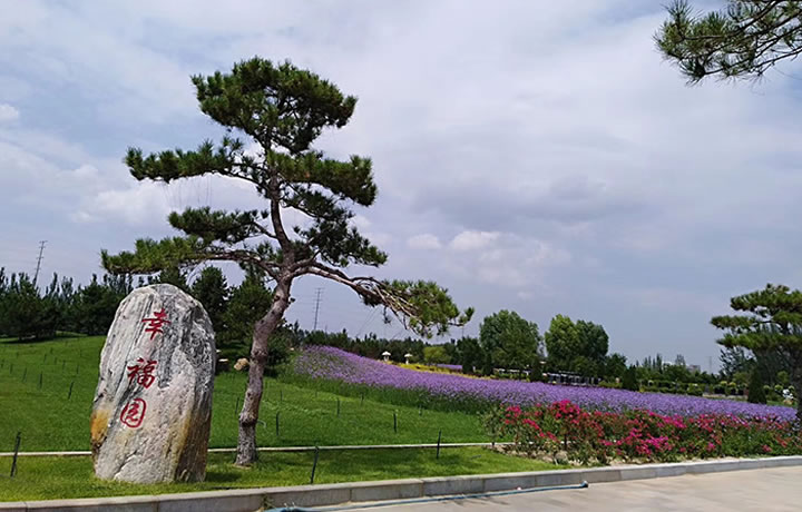 松鹤陵园