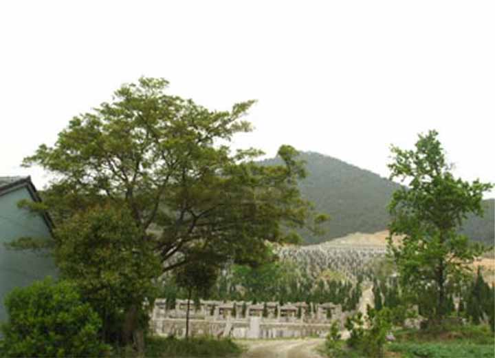 潜龙墓园