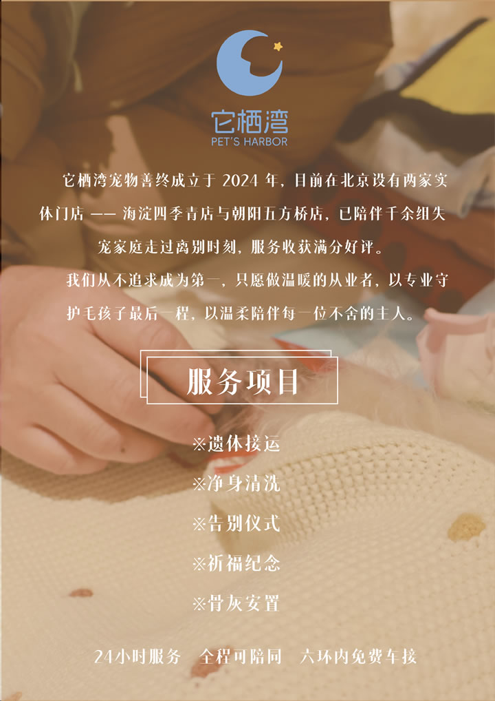 宠物殡葬