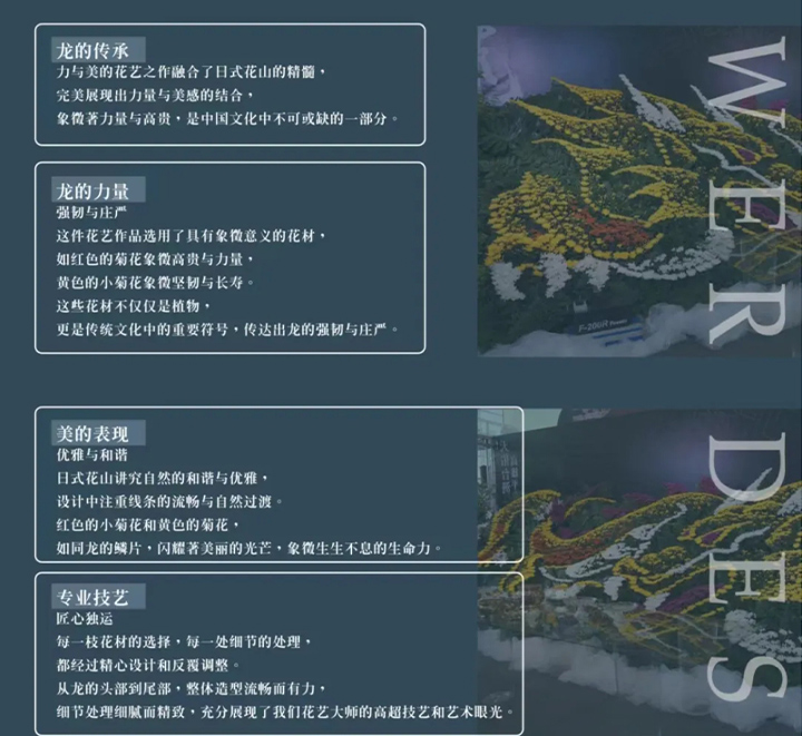 上海仙度拉花艺公司